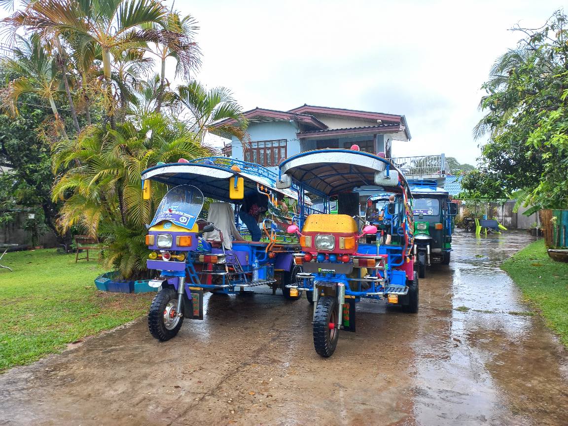 Tuk Tuk Safari Experience