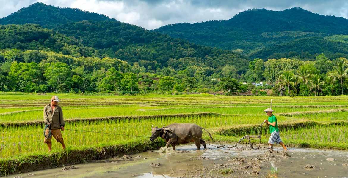 The Real Luang Prabang